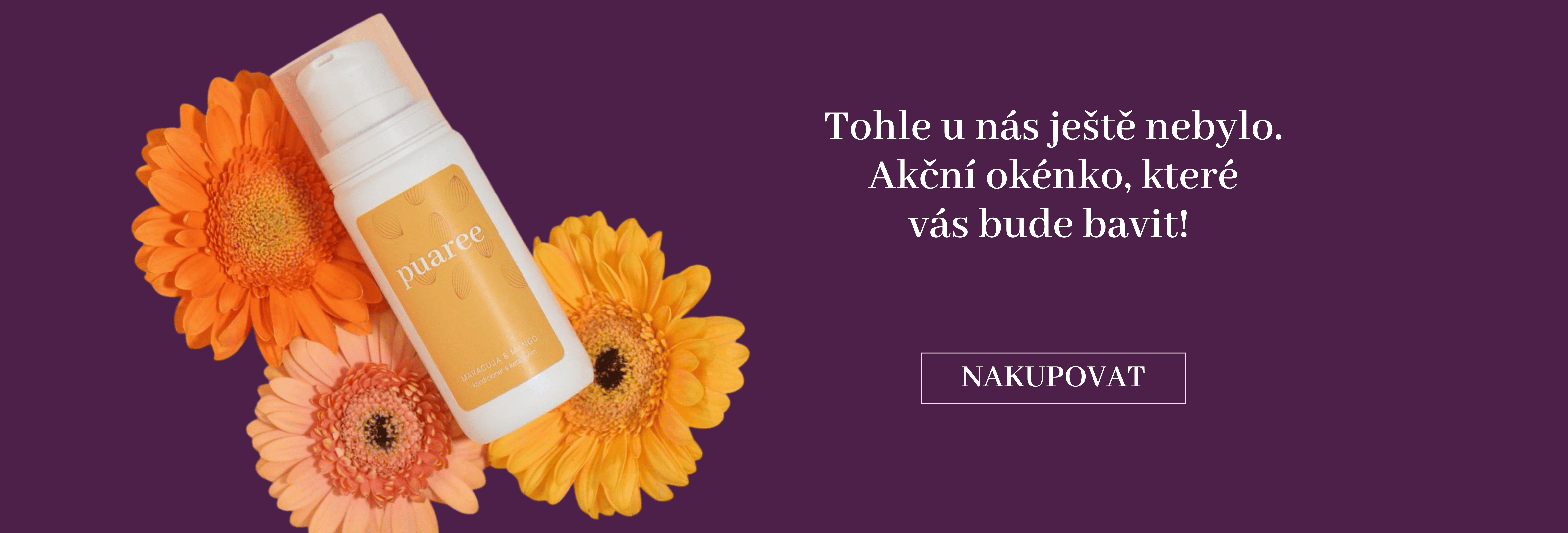 Akční okénko